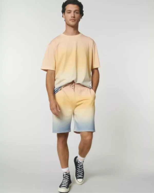 Trainer Ombre / STBU100