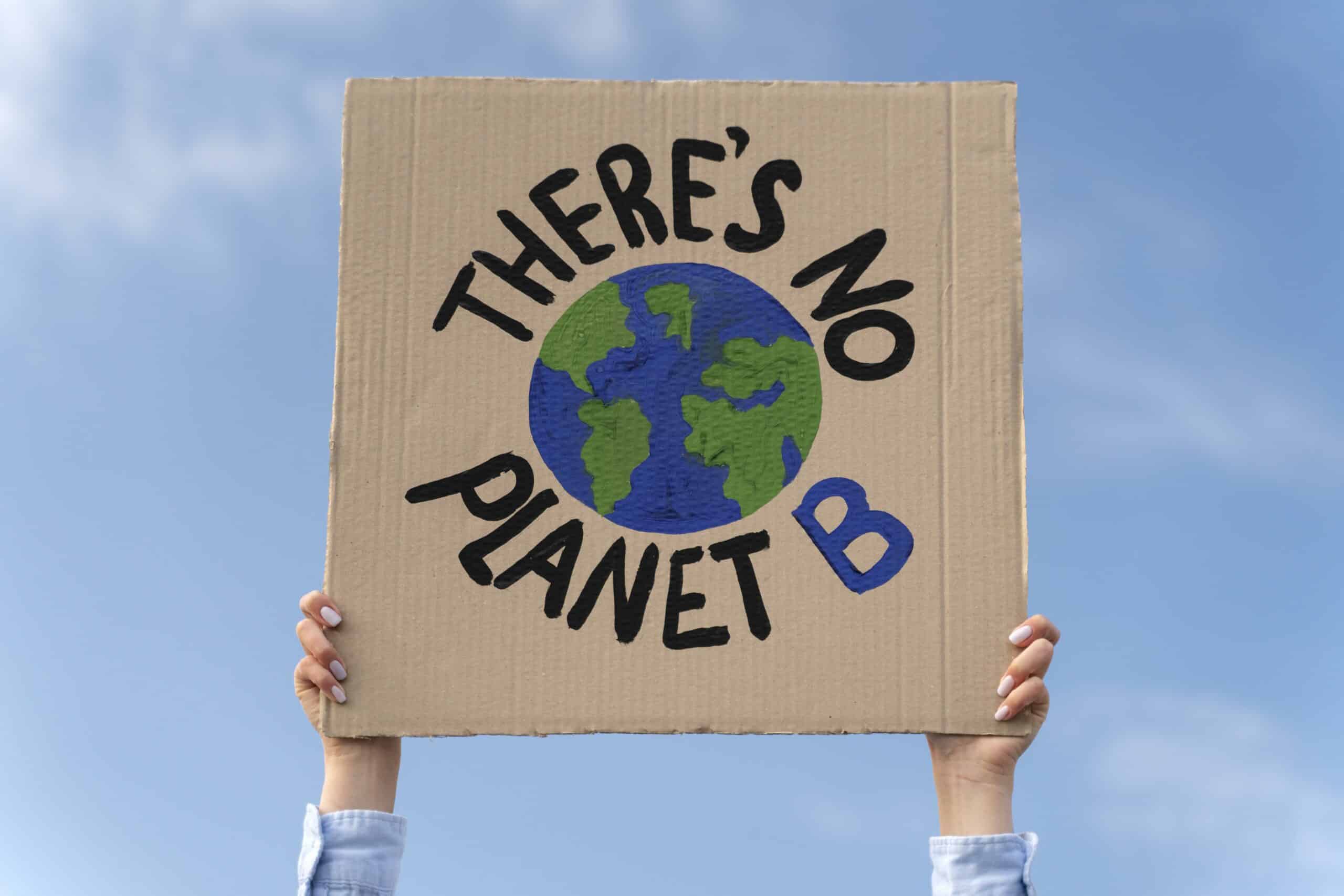 person-protesting-climate-change-scaled