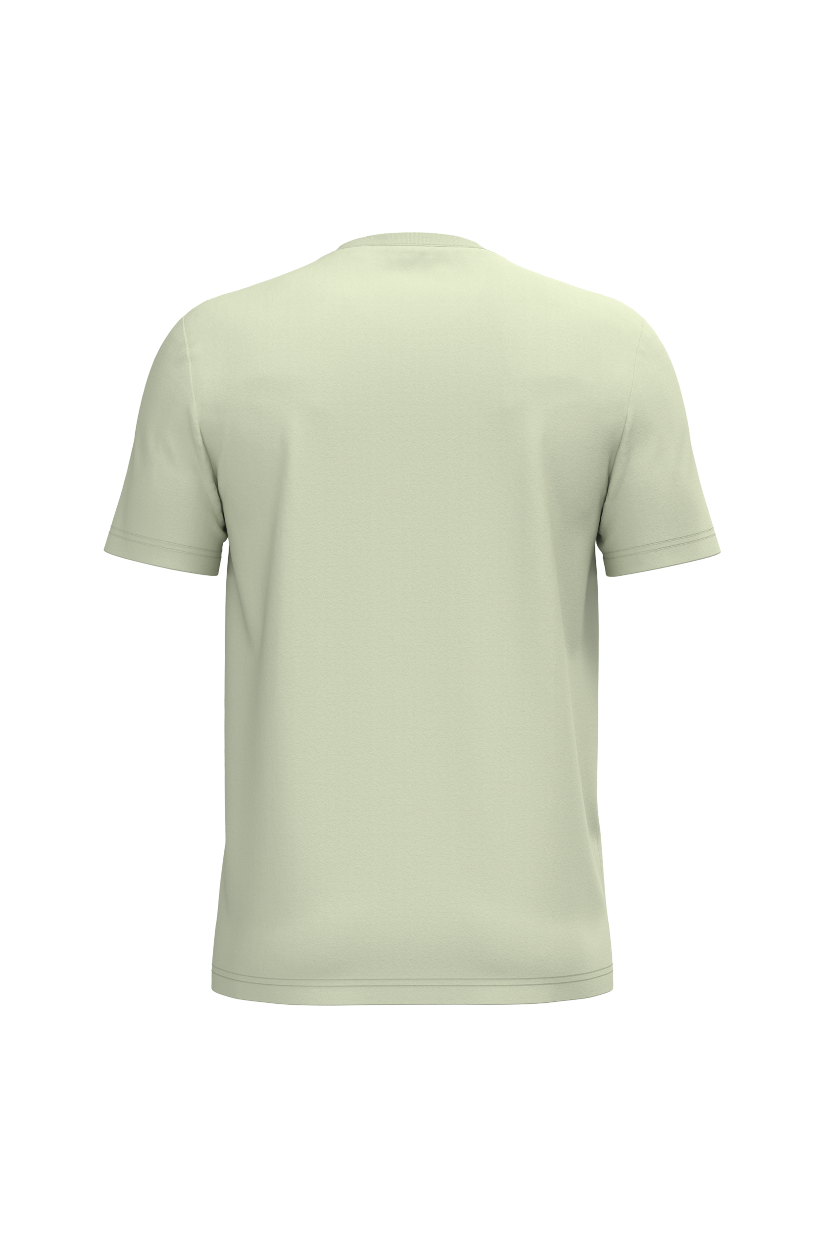 Native Spirit NS300 Bio-T-Shirt Celadon Green – Rückseite
