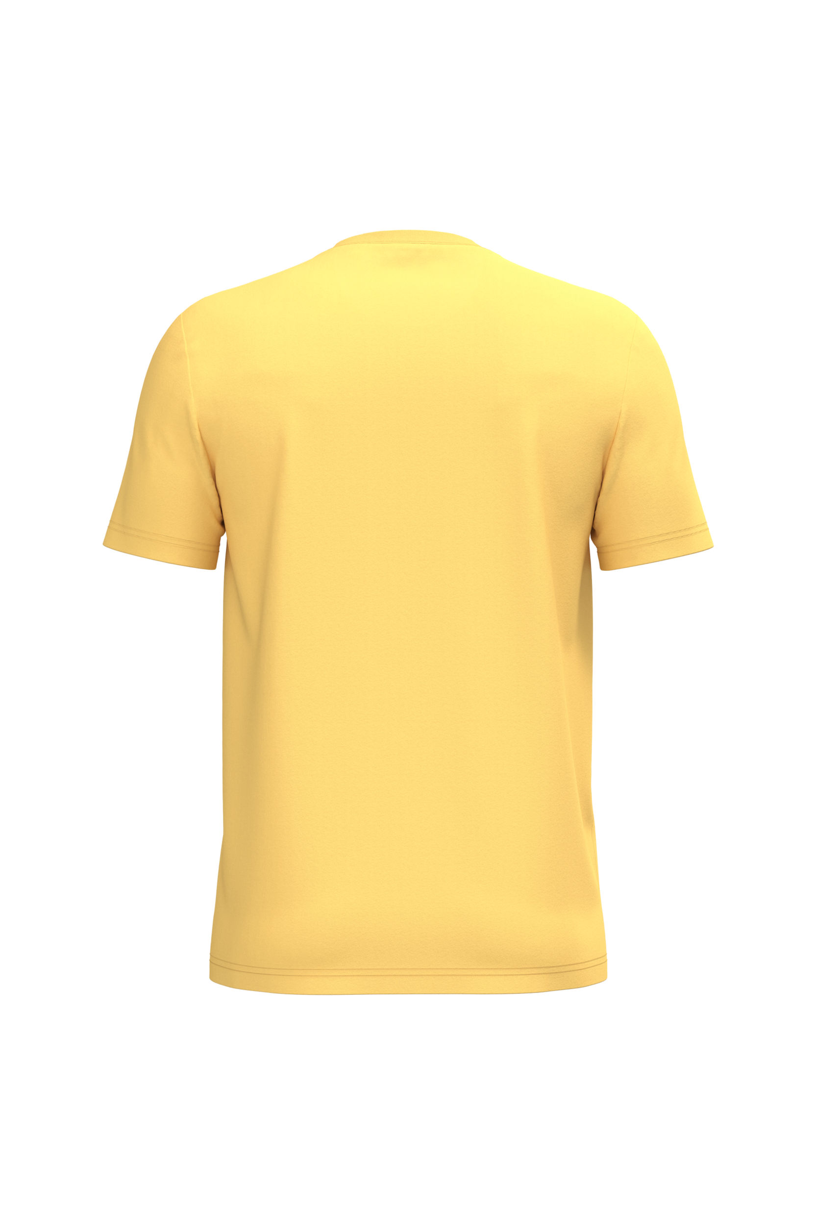 Native Spirit NS300 Bio-T-Shirt Pineapple – Rückseite