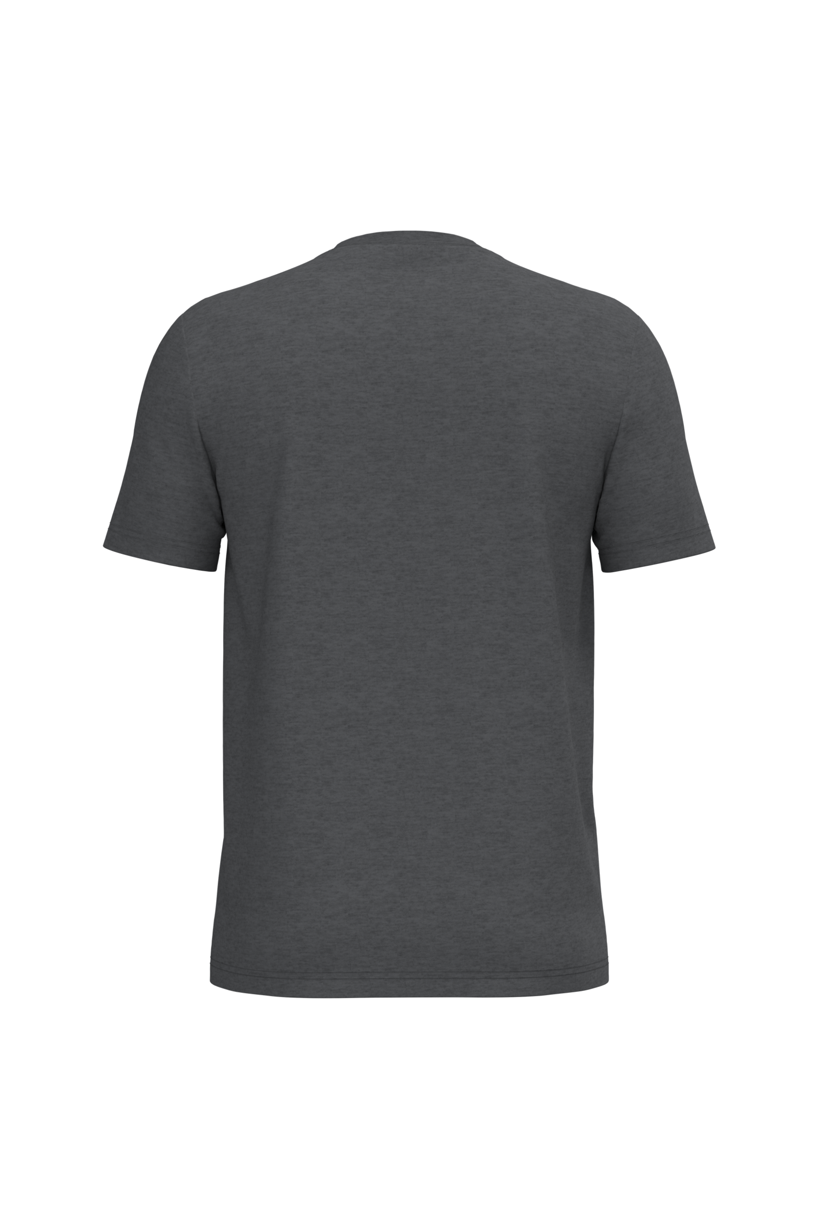Native Spirit NS300 Bio-T-Shirt Volcano Grey Heather – Rückseite