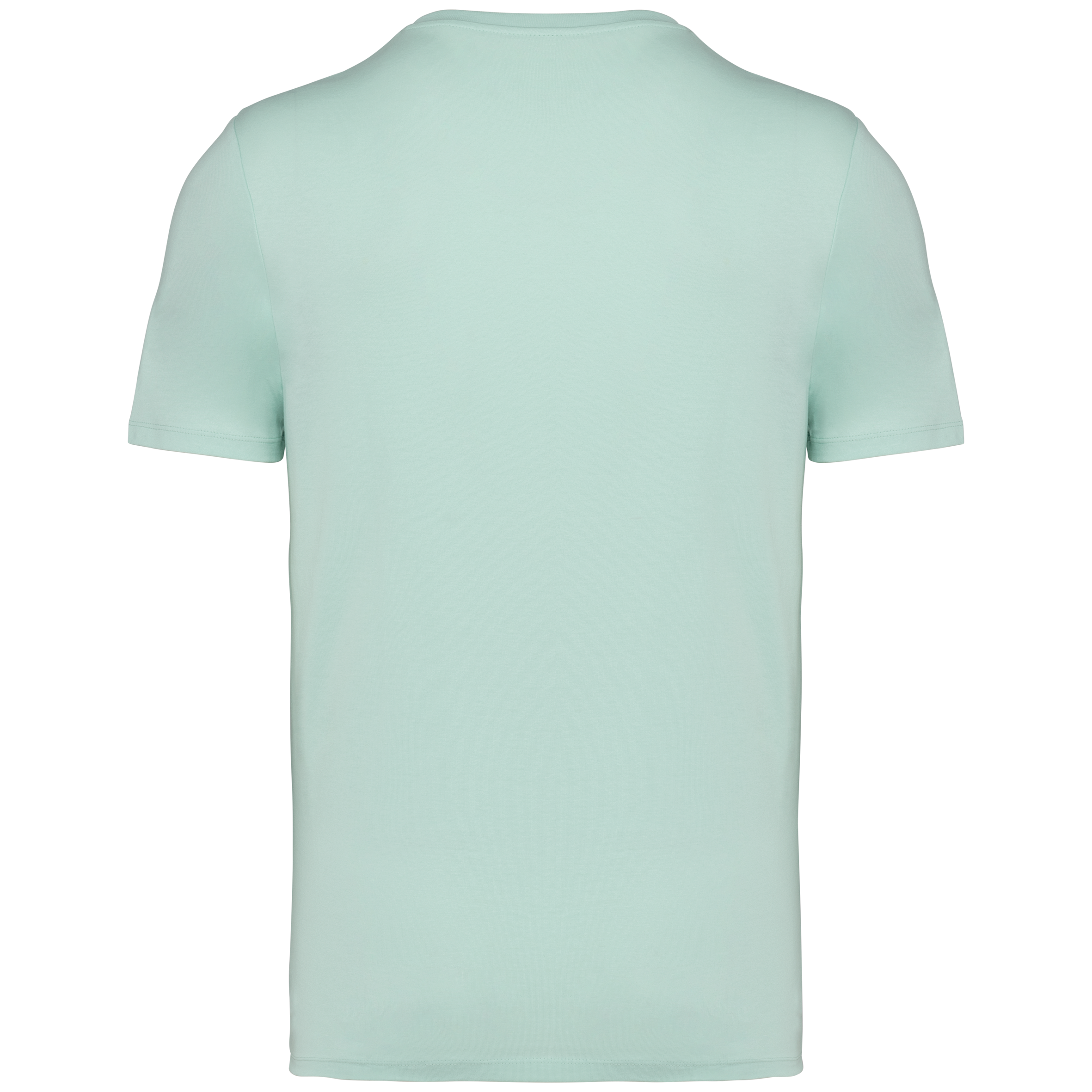 PS_NS305-B_BROOKGREEN.png Native Spirit NS305 Bio-T-Shirt Brook Green – Rückseite