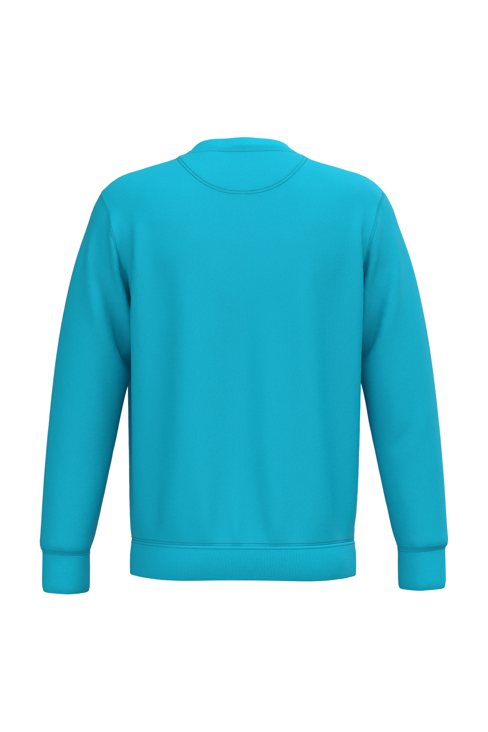 PS_NS400-B-2_LIGHTTURQUOISE.png Native Spirit NS400 Bio-Sweatshirt Light Turquoise – Rückseite