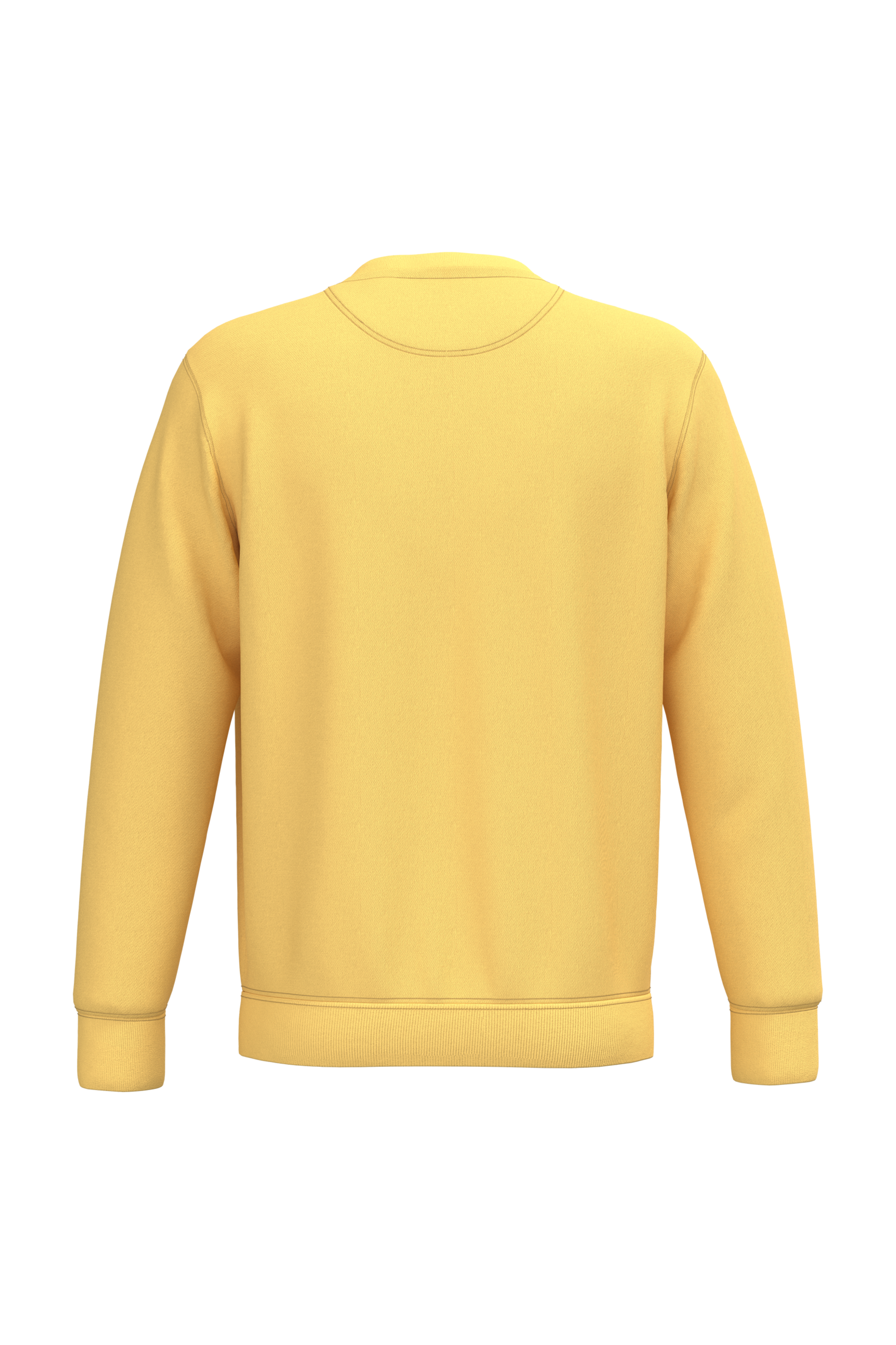 Native Spirit NS400 Bio-Sweatshirt Pineapple – Rückseite