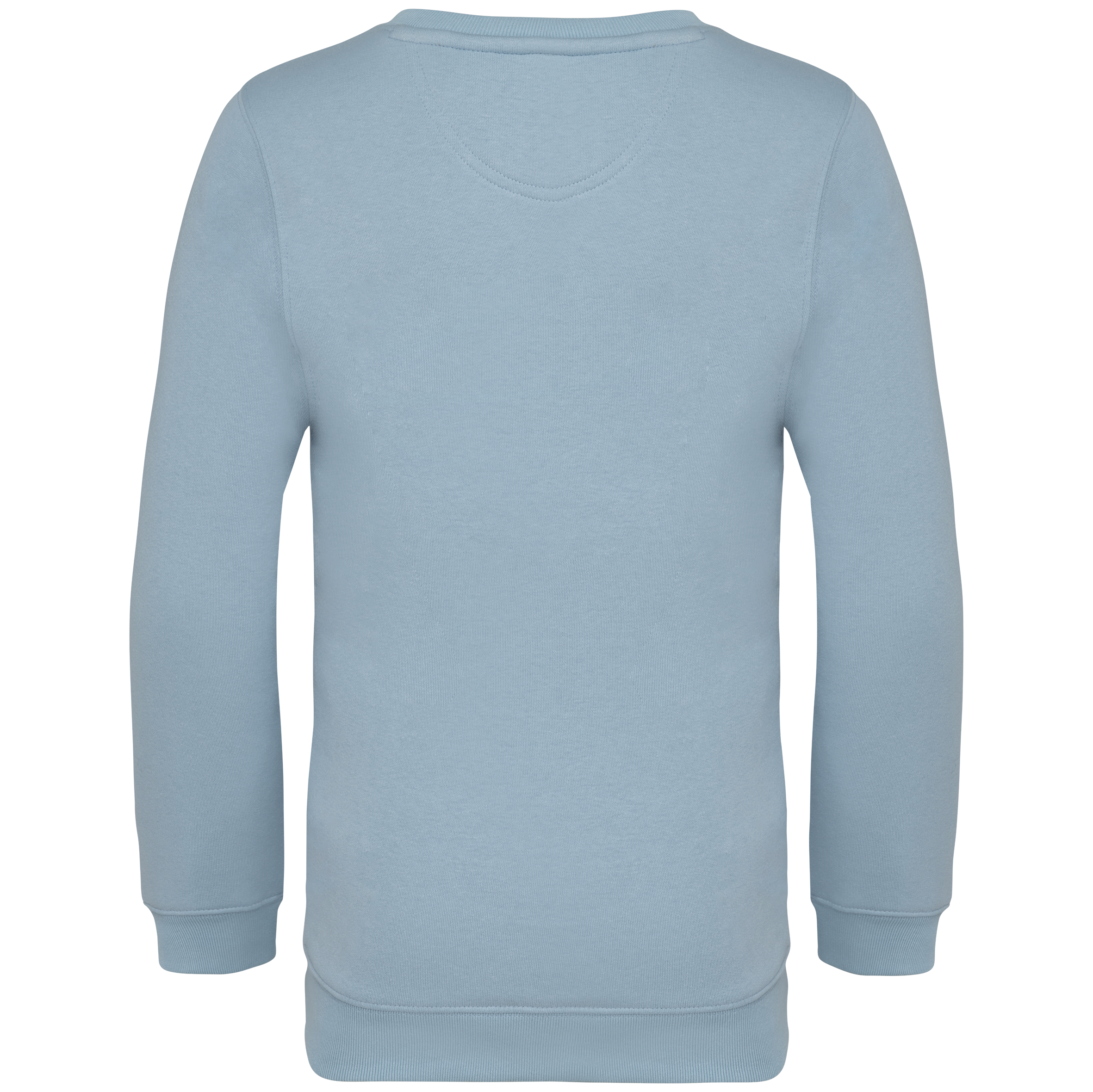 PS_NS403-B_AQUAMARINE.png Native Spirit NS403 Bio-Sweatshirt Aquamarine – Rückseite
