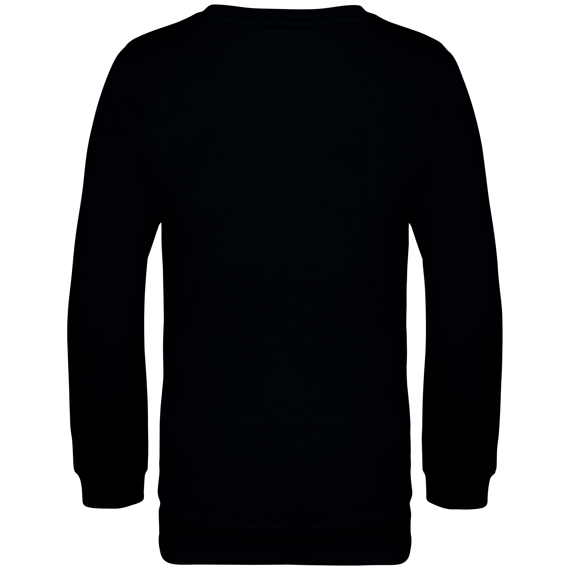 PS_NS403-B_BLACK.png Native Spirit NS403 Bio-Sweatshirt Black – Rückseite