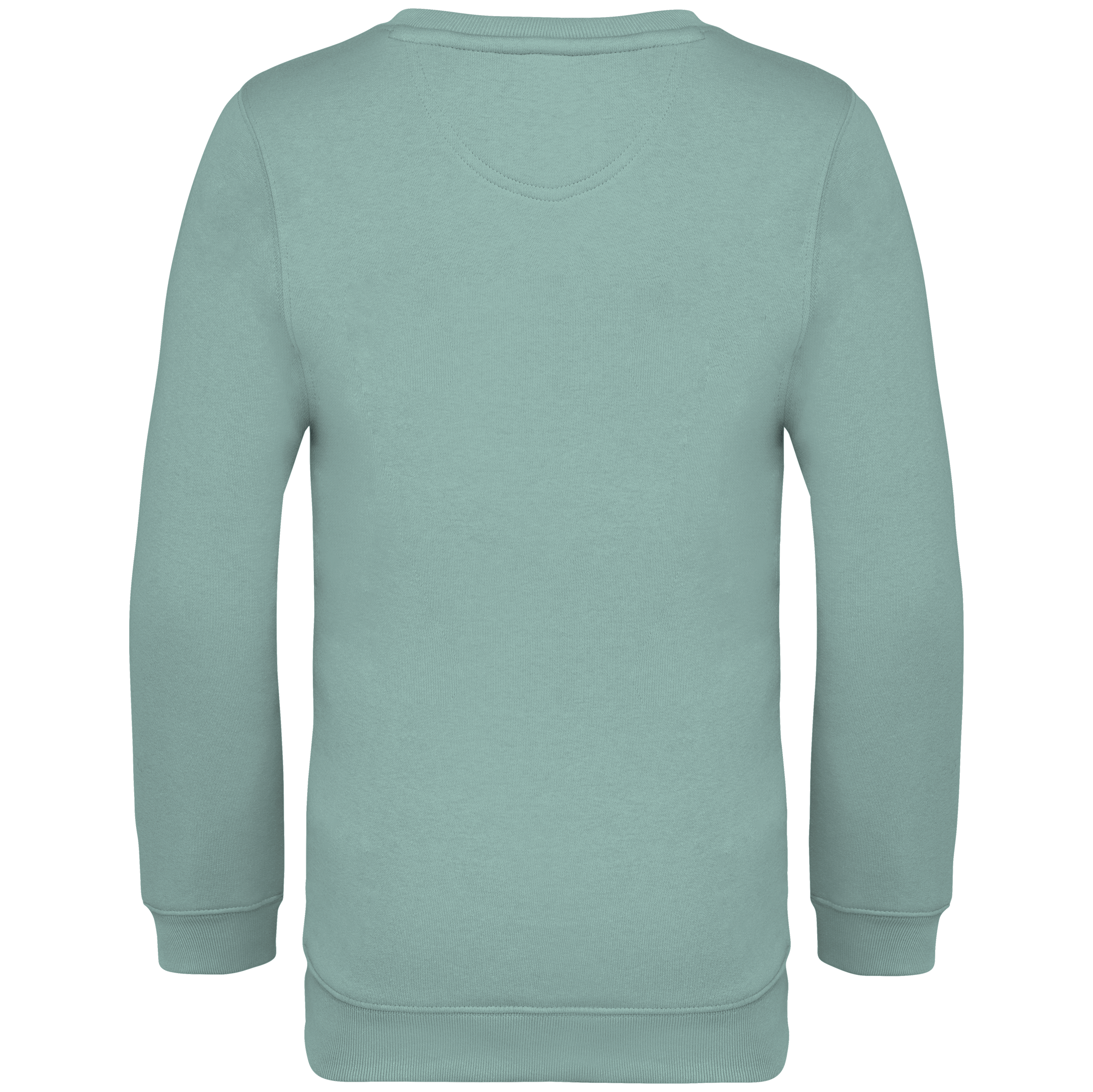 Native Spirit NS403 Bio-Sweatshirt Jade Green – Rückseite