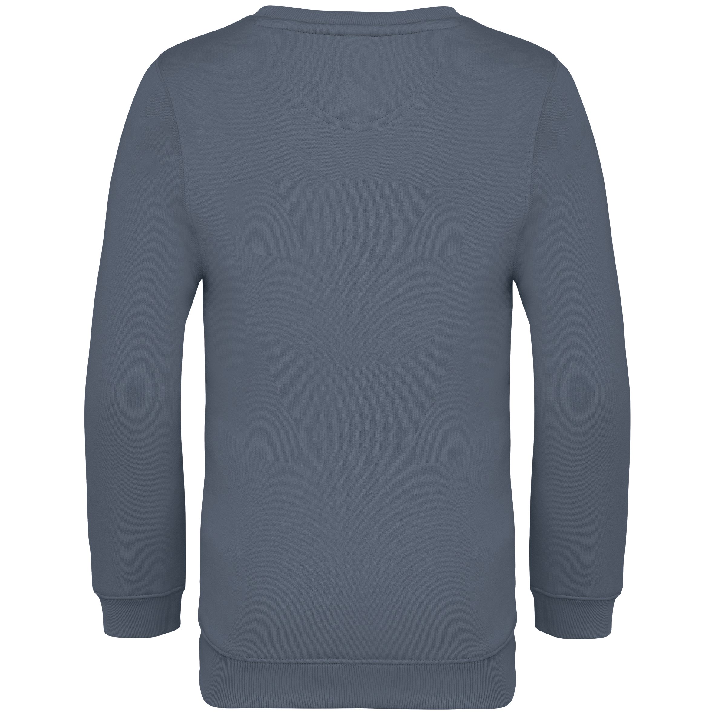 Native Spirit NS403 Bio-Sweatshirt Mineral Grey – Rückseite