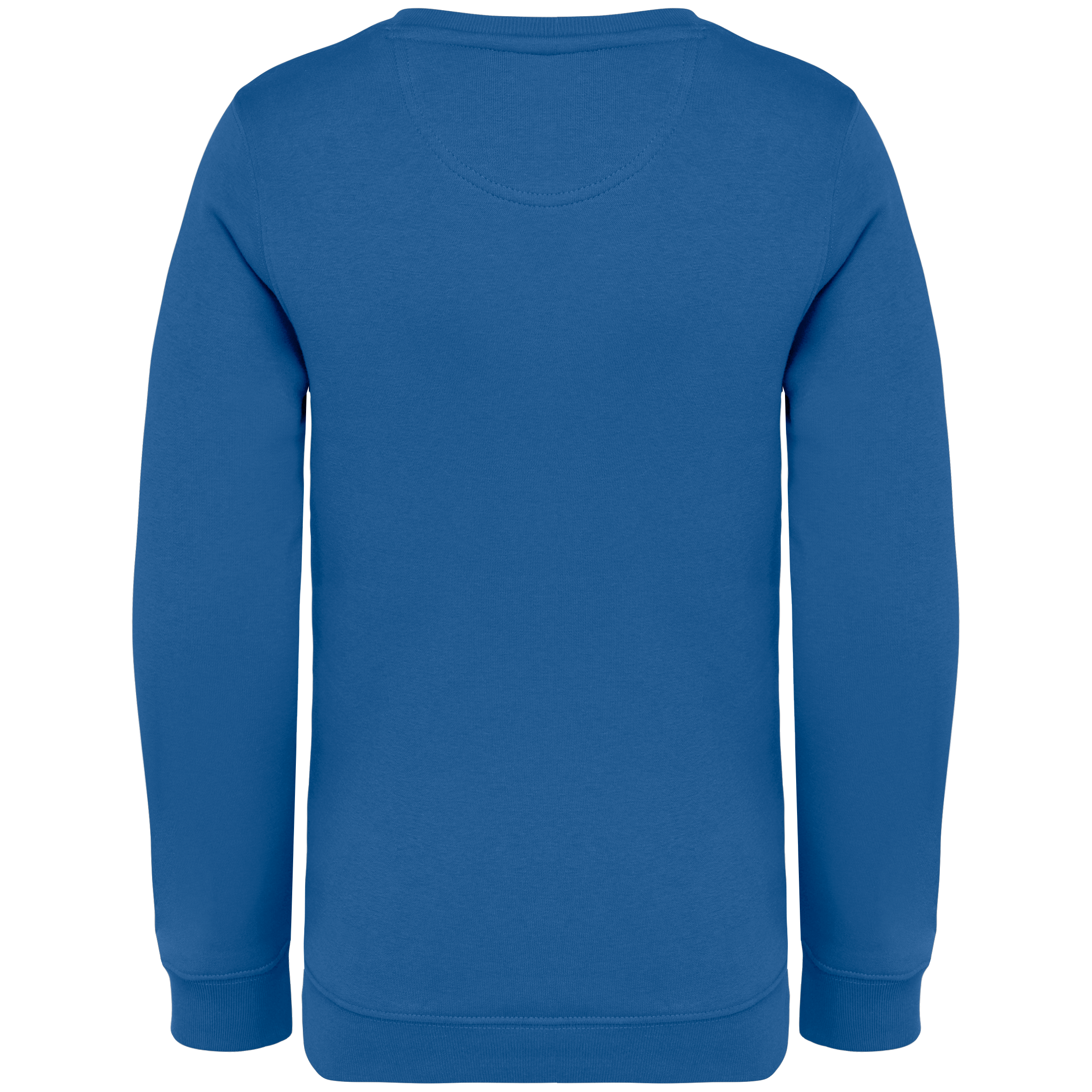 Native Spirit NS403 Bio-Sweatshirt Sea Blue – Rückseite