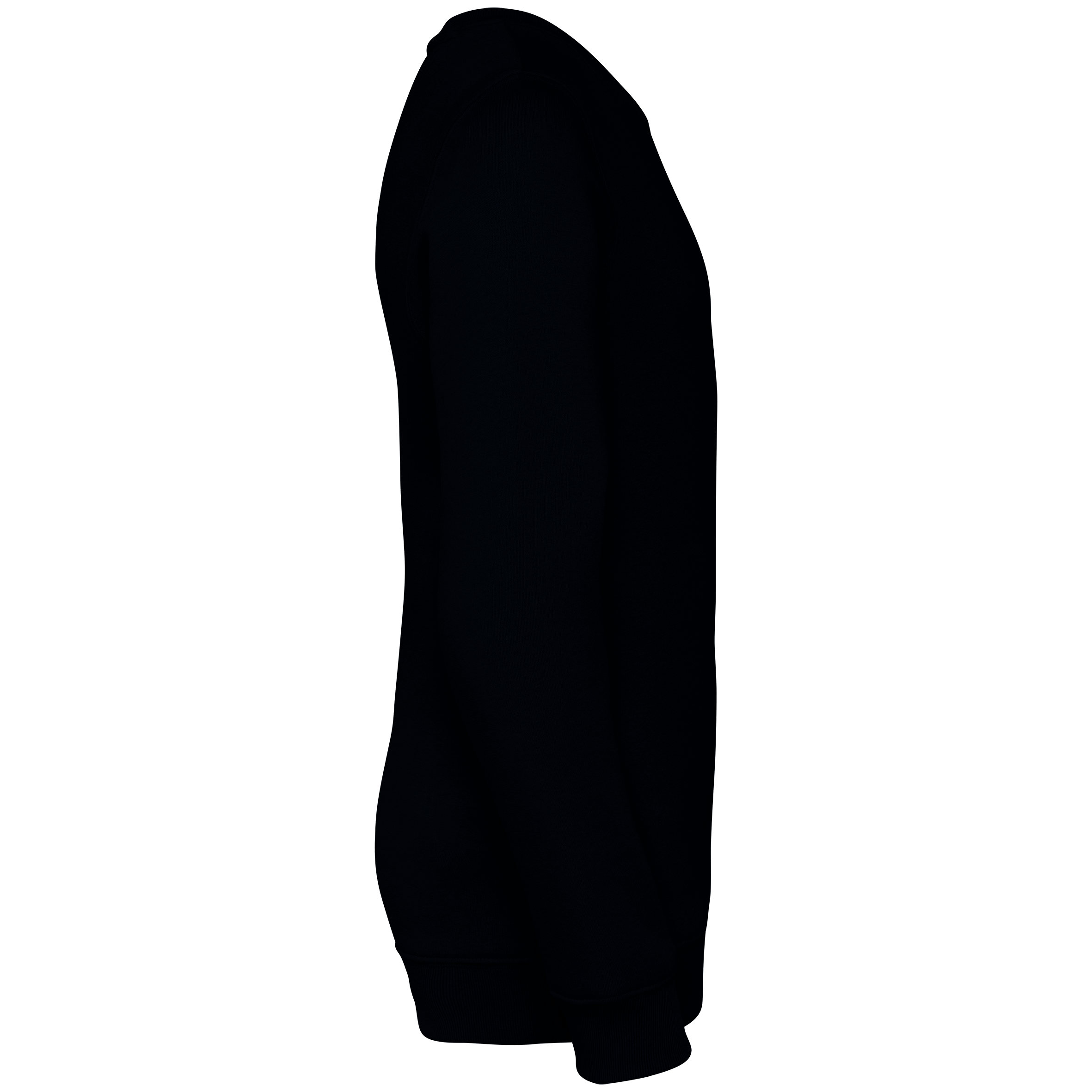 PS_NS403-S-2_BLACK.png Native Spirit NS403 Bio-Sweatshirt Black – Seitenansicht