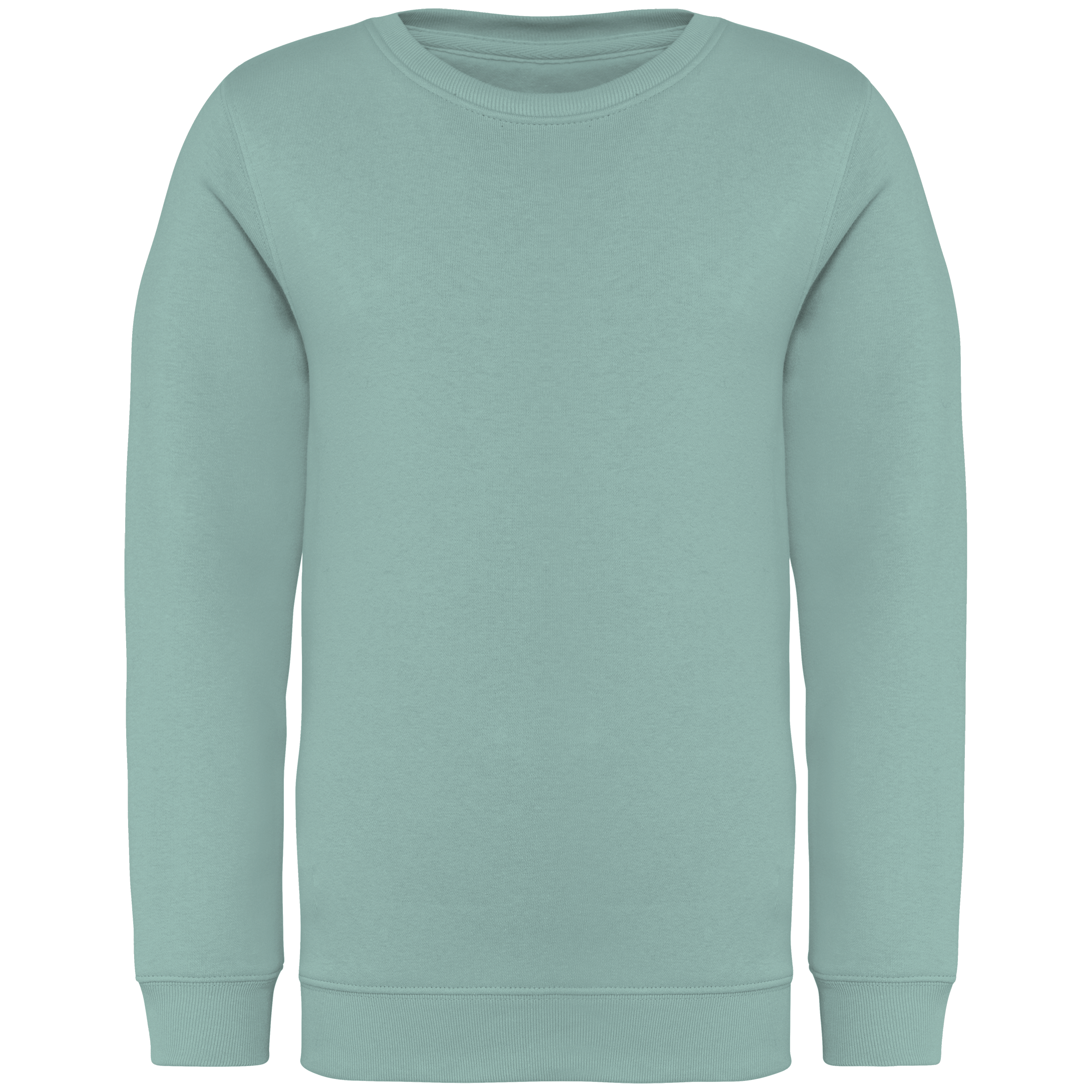 Native Spirit NS403 Bio-Sweatshirt Jade Green – Vorderseite