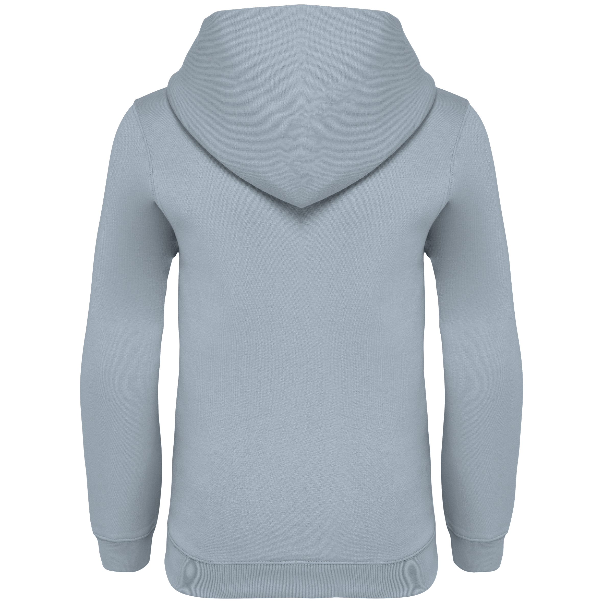 Native Spirit NS404 Bio-Hoodie Aquamarine – Rückseite