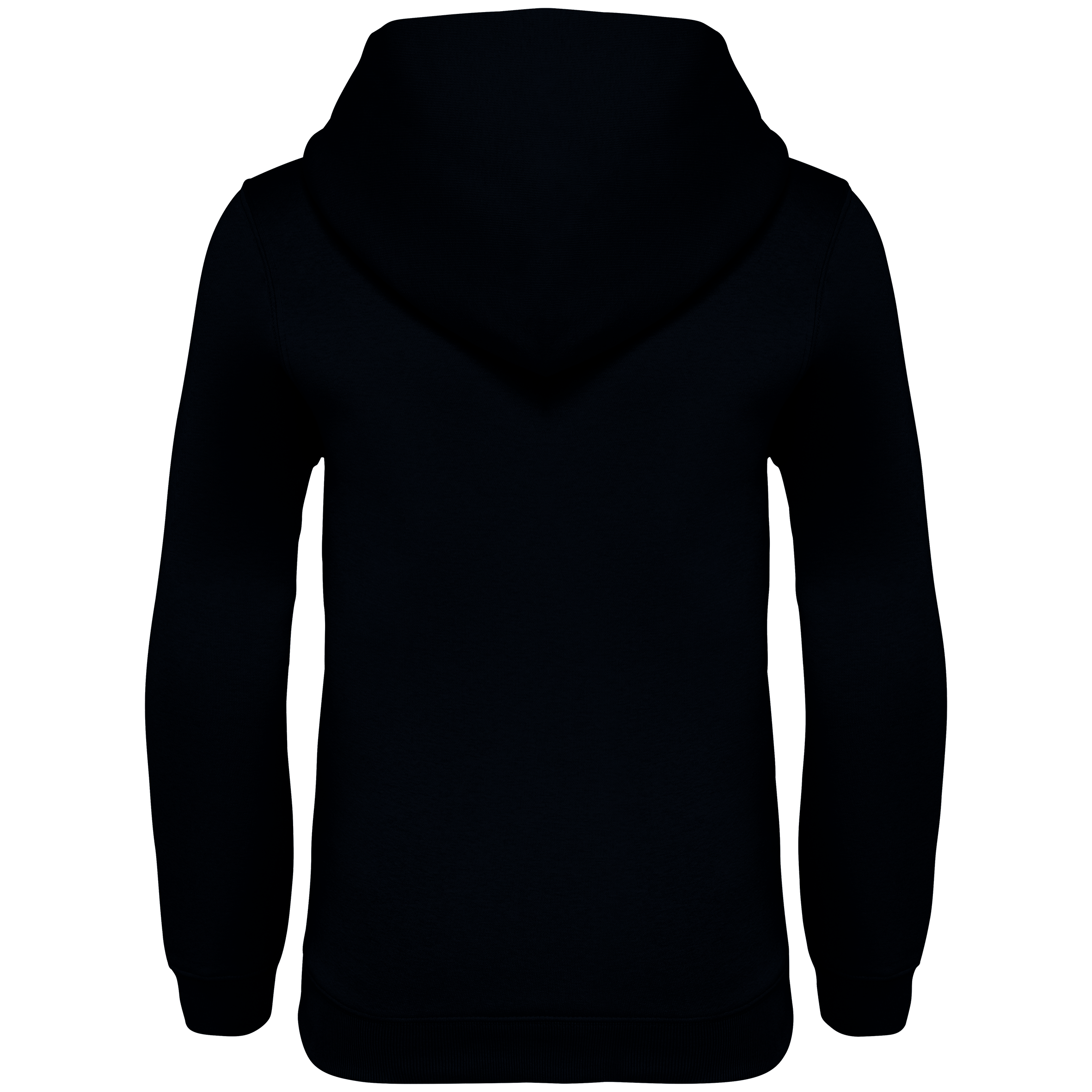 Native Spirit NS404 Bio-Hoodie Black – Rückseite