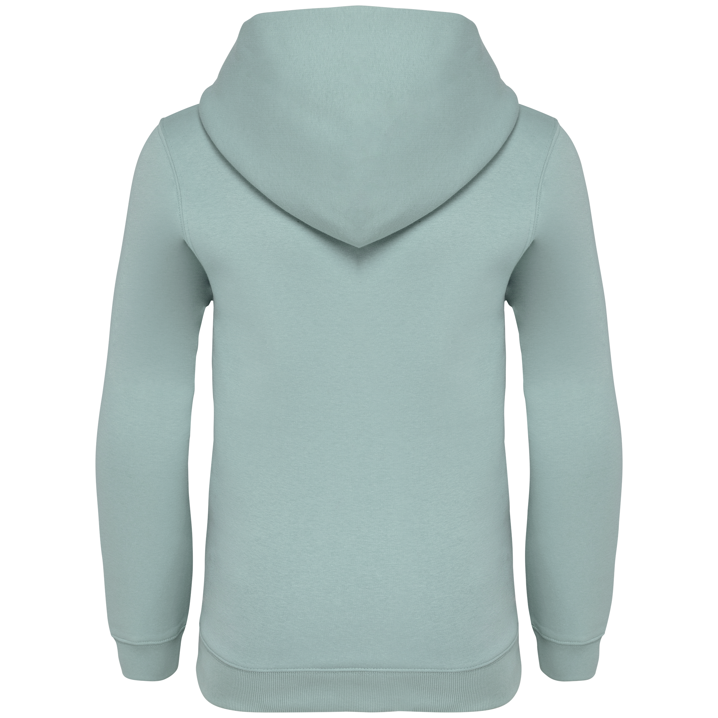 Native Spirit NS404 Bio-Hoodie Jade Green – Rückseite