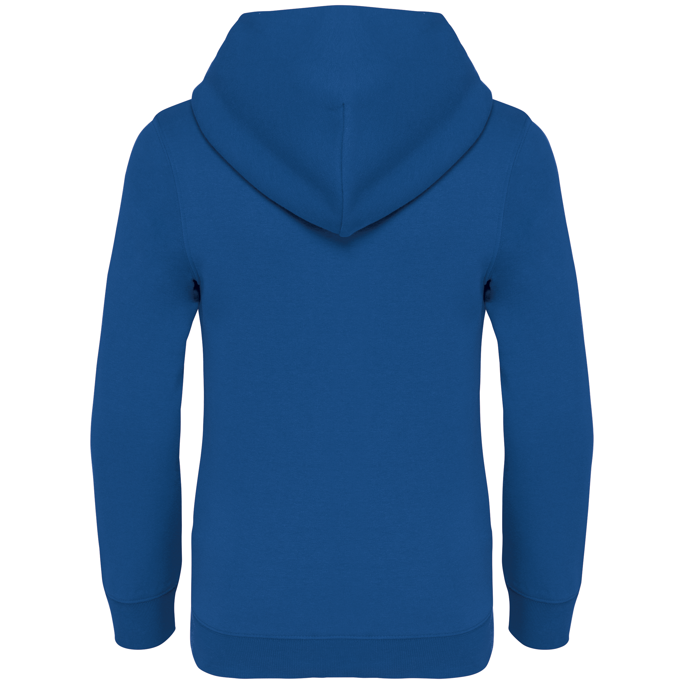 Native Spirit NS404 Bio-Hoodie Sea Blue – Rückseite
