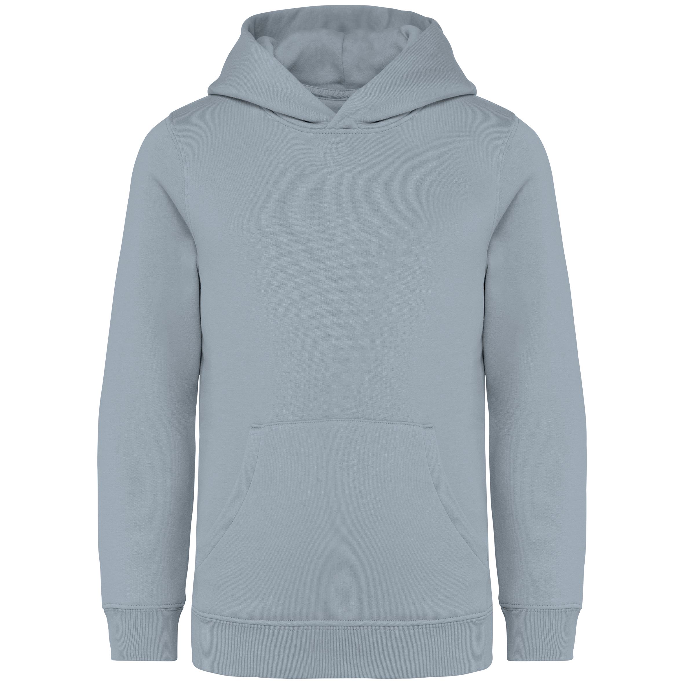 Native Spirit NS404 Bio-Hoodie Aquamarine – Vorderseite