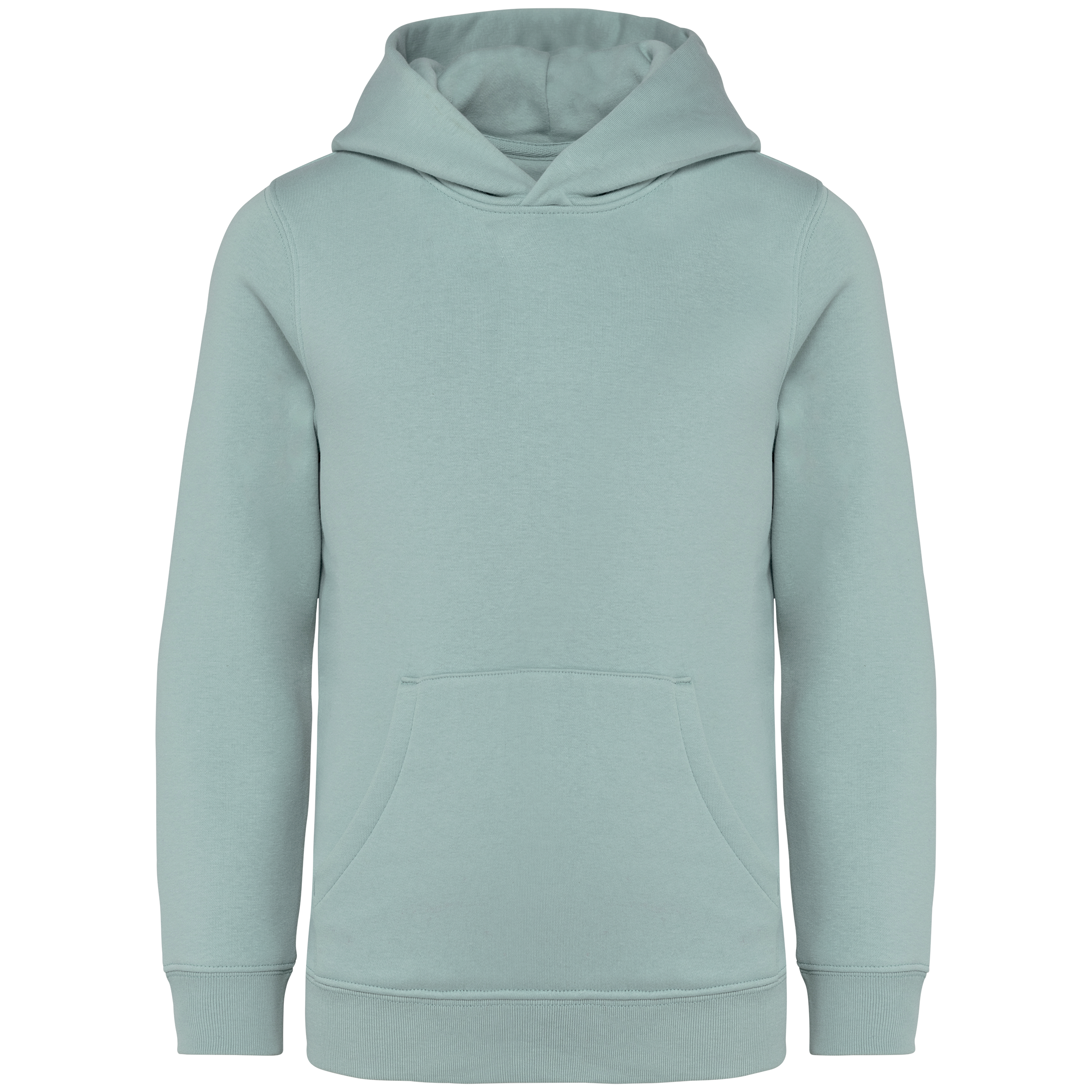 Native Spirit NS404 Bio-Hoodie Jade Green – Vorderseite