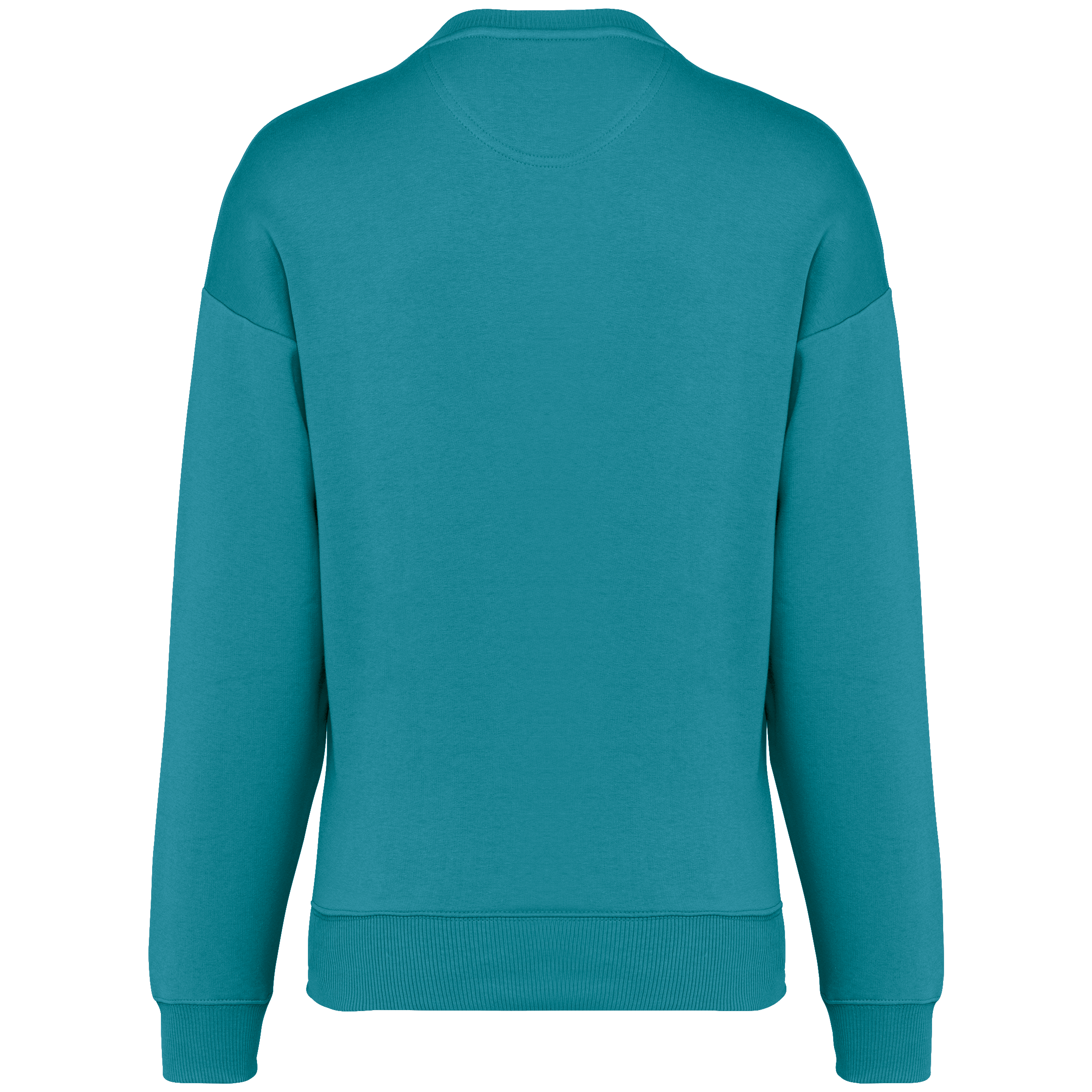 Native Spirit NS407 Bio-Sweatshirt Adriatic Blue – Rückseite