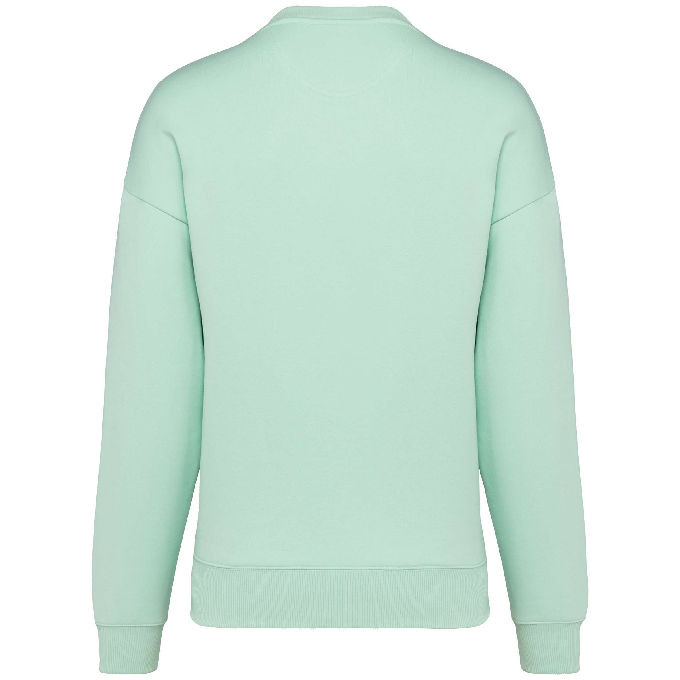 PS_NS407-B_BROOKGREEN.png Native Spirit NS407 Bio-Sweatshirt Brook Green – Rückseite