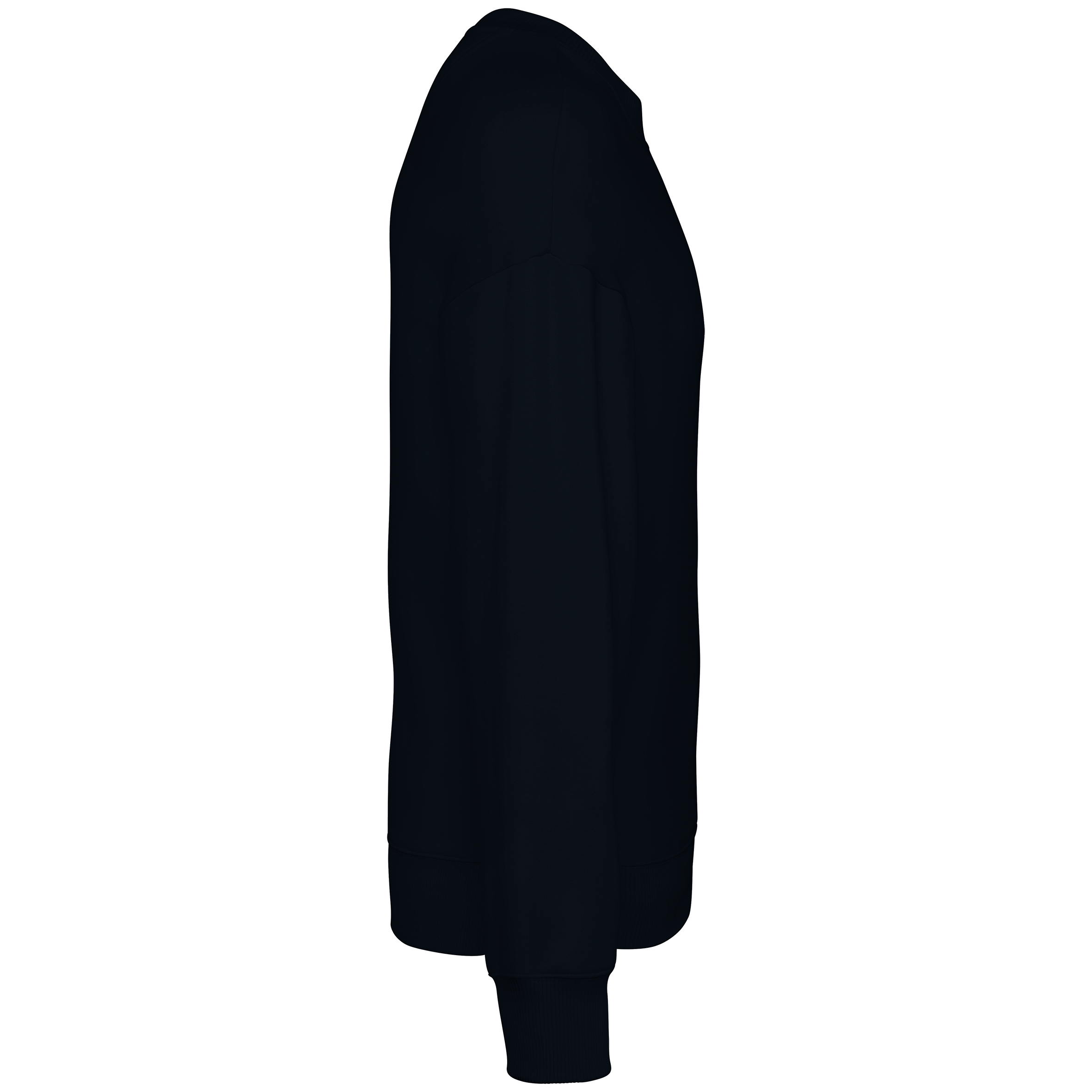 PS_NS407-S-2_BLACK.png Native Spirit NS407 Bio-Sweatshirt Black – Seitenansicht