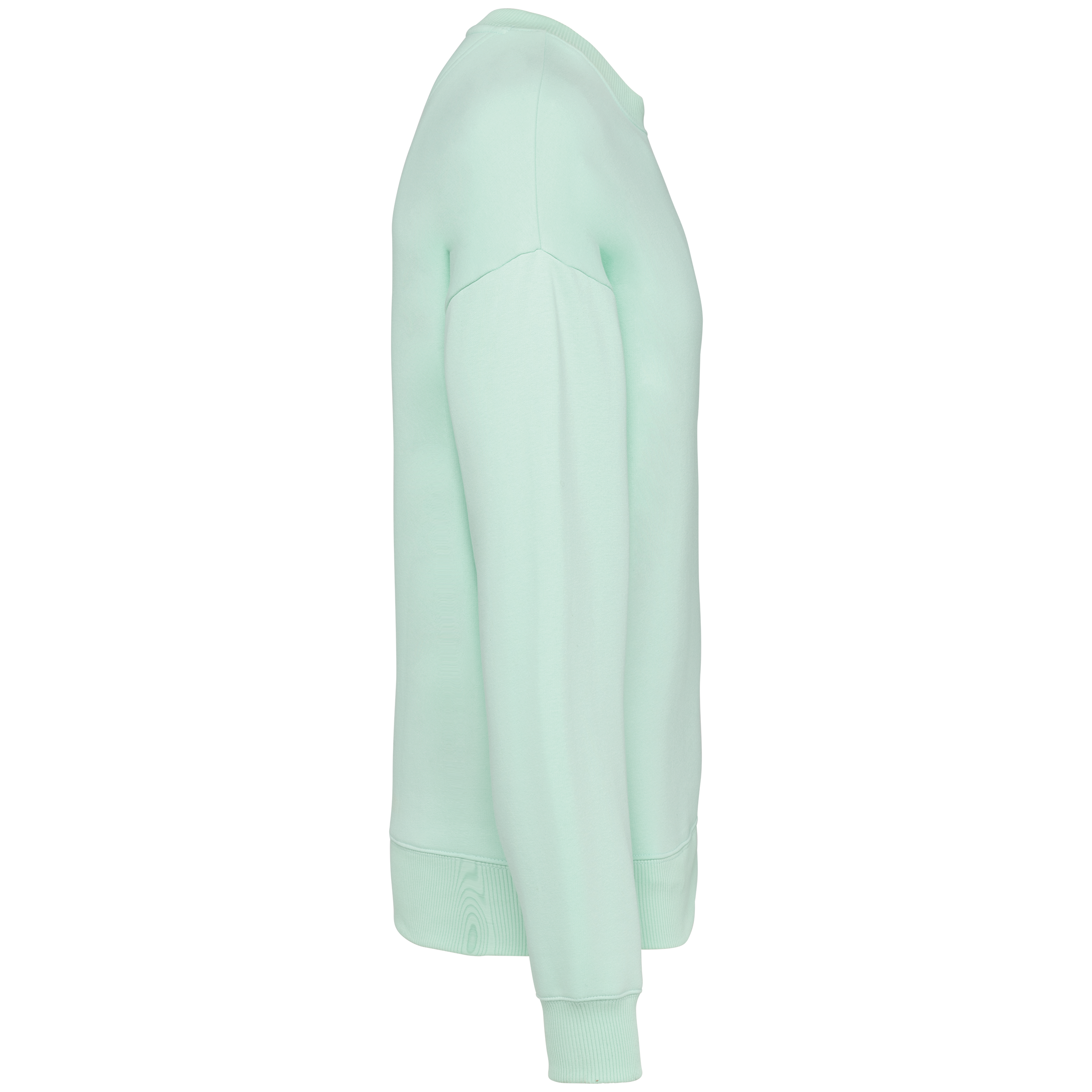 PS_NS407-S-2_BROOKGREEN.png Native Spirit NS407 Bio-Sweatshirt Brook Green – Seitenansicht