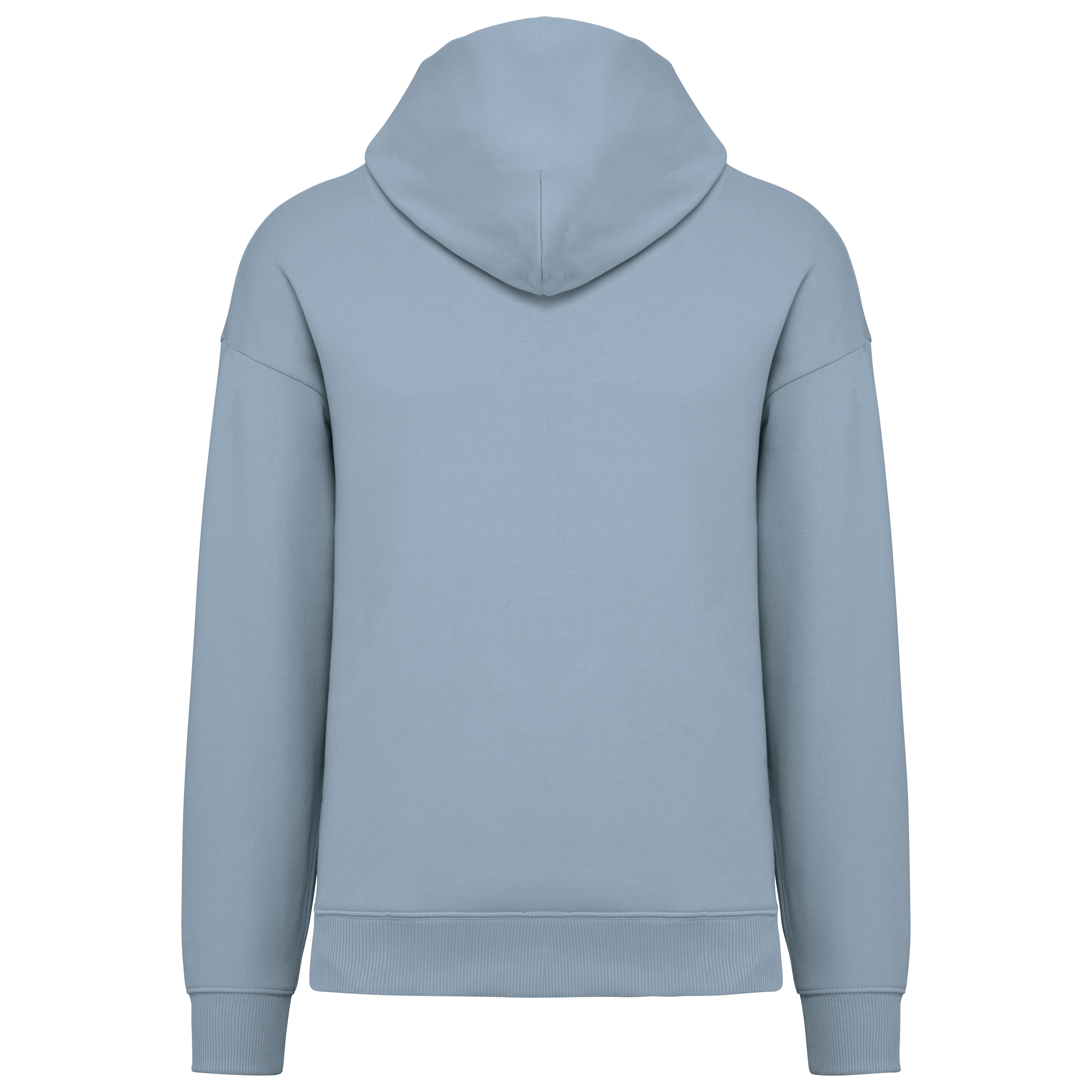 PS_NS408-B_AQUAMARINE.png Native Spirit NS408 Bio-Hoodie Aquamarine – Rückseite