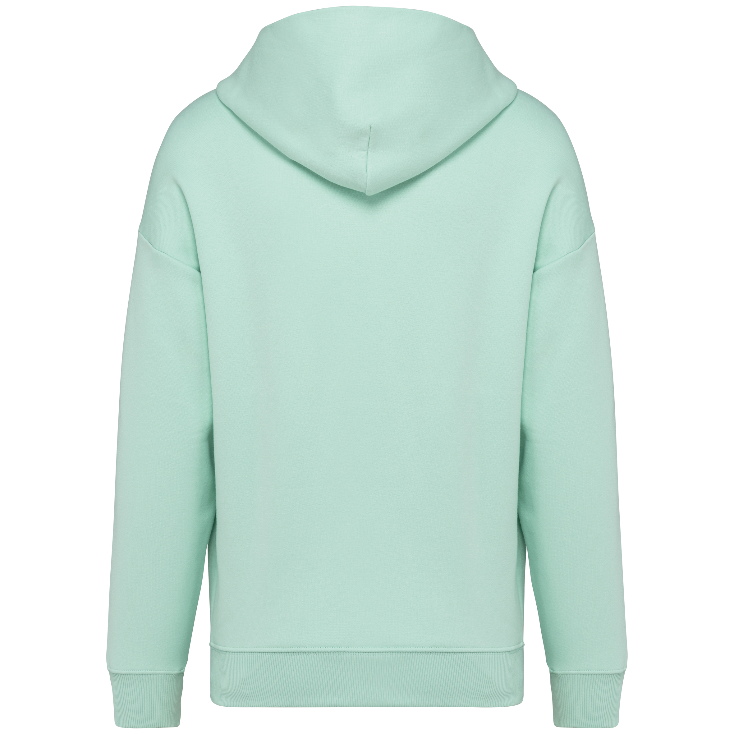 Native Spirit NS408 Bio-Hoodie Brook Green – Rückseite