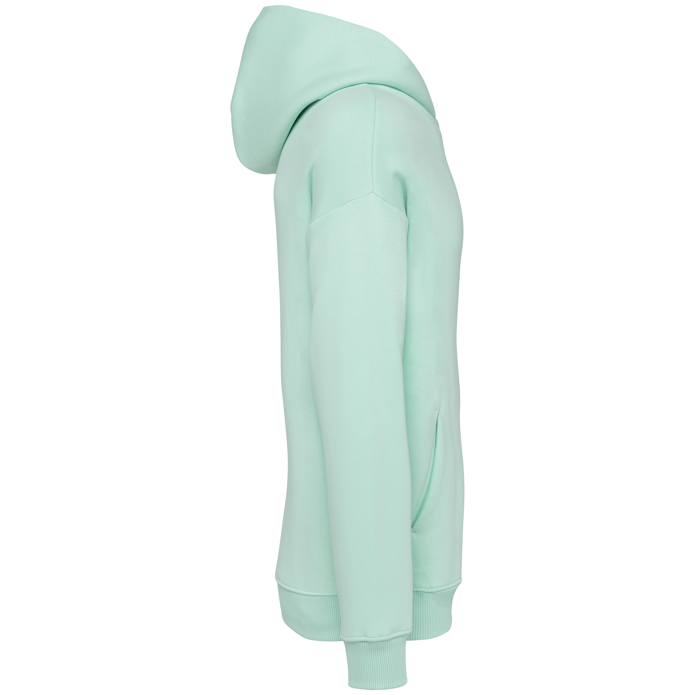 Native Spirit NS408 Bio-Hoodie Brook Green – Seitenansicht